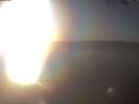 ./images/koeye/fitz-hugh/20250210/fitz-hugh20250210_162502.jpg
