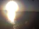 ./images/koeye/fitz-hugh/20250211/fitz-hugh20250211_165502.jpg