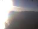 ./images/koeye/fitz-hugh/20250212/fitz-hugh20250212_154002.jpg