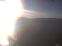 ./images/koeye/fitz-hugh/20250212/fitz-hugh20250212_155002.jpg