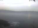./images/koeye/fitz-hugh/20250214/fitz-hugh20250214_073502.jpg