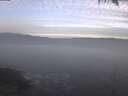 ./images/koeye/fitz-hugh/20250214/fitz-hugh20250214_091001.jpg