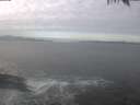 ./images/koeye/fitz-hugh/20250214/fitz-hugh20250214_104502.jpg