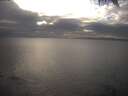 ./images/koeye/fitz-hugh/20250216/fitz-hugh20250216_164001.jpg