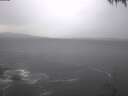 ./images/koeye/fitz-hugh/20250221/fitz-hugh20250221_085002.jpg