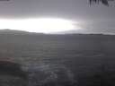 ./images/koeye/fitz-hugh/20250221/fitz-hugh20250221_140502.jpg