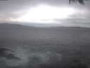 ./images/koeye/fitz-hugh/20250221/fitz-hugh20250221_154002.jpg
