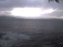 ./images/koeye/fitz-hugh/20250221/fitz-hugh20250221_182502.jpg