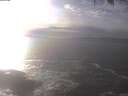 ./images/koeye/fitz-hugh/20250223/fitz-hugh20250223_153002.jpg
