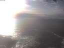 ./images/koeye/fitz-hugh/20250223/fitz-hugh20250223_154001.jpg