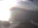 ./images/koeye/fitz-hugh/20250223/fitz-hugh20250223_154501.jpg