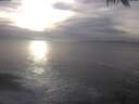 ./images/koeye/fitz-hugh/20250223/fitz-hugh20250223_163502.jpg
