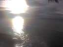 ./images/koeye/fitz-hugh/20250223/fitz-hugh20250223_164002.jpg