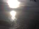 ./images/koeye/fitz-hugh/20250223/fitz-hugh20250223_165002.jpg