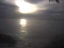 ./images/koeye/fitz-hugh/20250223/fitz-hugh20250223_165502.jpg