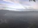 ./images/koeye/fitz-hugh/20250224/fitz-hugh20250224_095002.jpg