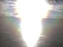 ./images/koeye/fitz-hugh/20250317/fitz-hugh20250317_180501.jpg