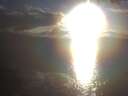 ./images/koeye/fitz-hugh/20250317/fitz-hugh20250317_185002.jpg