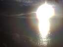 ./images/koeye/fitz-hugh/20250317/fitz-hugh20250317_190002.jpg
