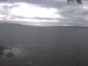 ./images/koeye/fitz-hugh/20250318/fitz-hugh20250318_141501.jpg