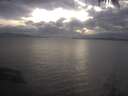 ./images/koeye/fitz-hugh/20250318/fitz-hugh20250318_184002.jpg