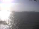 ./images/koeye/fitz-hugh/20250403/fitz-hugh20250403_160502.jpg