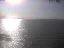 ./images/koeye/fitz-hugh/20250403/fitz-hugh20250403_162002.jpg