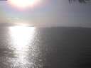 ./images/koeye/fitz-hugh/20250403/fitz-hugh20250403_163502.jpg