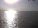 ./images/koeye/fitz-hugh/20250403/fitz-hugh20250403_164502.jpg
