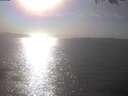 ./images/koeye/fitz-hugh/20250403/fitz-hugh20250403_165002.jpg