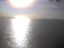 ./images/koeye/fitz-hugh/20250403/fitz-hugh20250403_165502.jpg