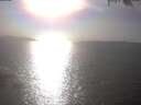./images/koeye/fitz-hugh/20250403/fitz-hugh20250403_170502.jpg