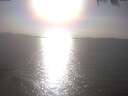 ./images/koeye/fitz-hugh/20250403/fitz-hugh20250403_172502.jpg