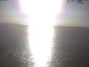 ./images/koeye/fitz-hugh/20250403/fitz-hugh20250403_173002.jpg
