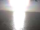 ./images/koeye/fitz-hugh/20250403/fitz-hugh20250403_173502.jpg