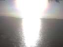 ./images/koeye/fitz-hugh/20250403/fitz-hugh20250403_174002.jpg