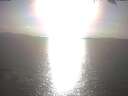./images/koeye/fitz-hugh/20250403/fitz-hugh20250403_174501.jpg