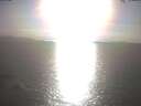 ./images/koeye/fitz-hugh/20250403/fitz-hugh20250403_175001.jpg