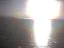 ./images/koeye/fitz-hugh/20250403/fitz-hugh20250403_182501.jpg