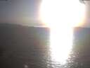 ./images/koeye/fitz-hugh/20250403/fitz-hugh20250403_183002.jpg