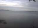 ./images/koeye/fitz-hugh/20250404/fitz-hugh20250404_082002.jpg