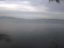 ./images/koeye/fitz-hugh/20250404/fitz-hugh20250404_082502.jpg