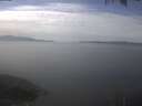 ./images/koeye/fitz-hugh/20250404/fitz-hugh20250404_135502.jpg