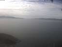 ./images/koeye/fitz-hugh/20250404/fitz-hugh20250404_140502.jpg