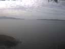 ./images/koeye/fitz-hugh/20250404/fitz-hugh20250404_142502.jpg
