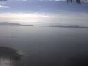 ./images/koeye/fitz-hugh/20250404/fitz-hugh20250404_155001.jpg
