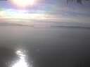 ./images/koeye/fitz-hugh/20250404/fitz-hugh20250404_163502.jpg