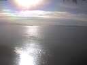 ./images/koeye/fitz-hugh/20250404/fitz-hugh20250404_165001.jpg