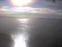./images/koeye/fitz-hugh/20250404/fitz-hugh20250404_165502.jpg
