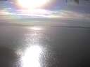 ./images/koeye/fitz-hugh/20250404/fitz-hugh20250404_170002.jpg